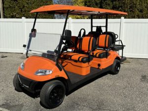 wellington golf cart repair, golf cart service, mobile repair