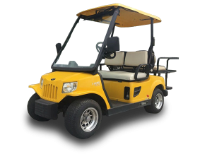 golf cart repair service, wellington cart repair pickup, golf cart inspection